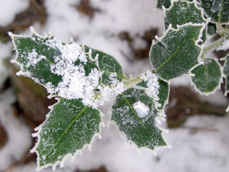 Hoarfrost