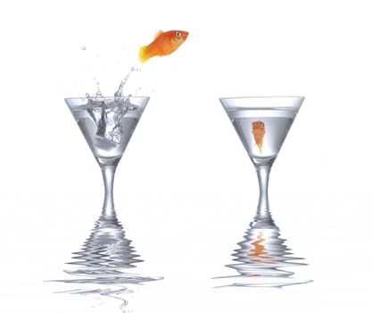 Goldfish