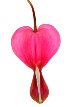 Tearful heart