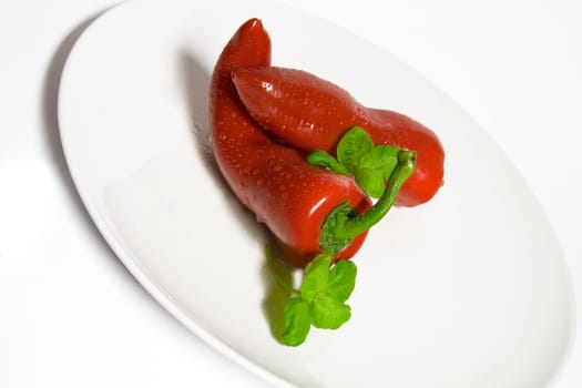 red lace bell pepper