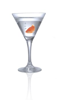Fish in a jar