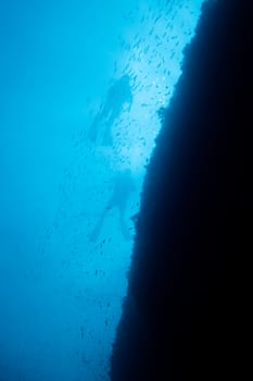 The Abyss