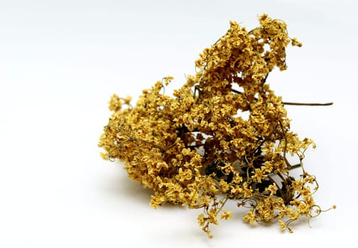 dried elderberry