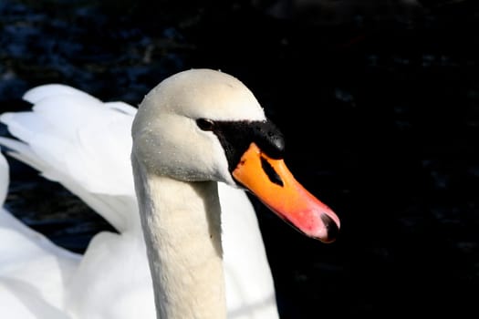 Beauty of nature