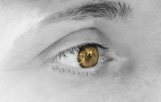 yellow eyes - Eye amber