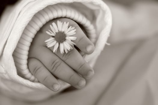 Little Fingers