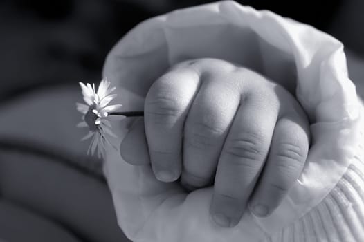 In the palm of your hand
