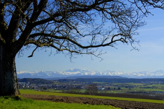 Taken during a walk in the immediate vicinity of where I live