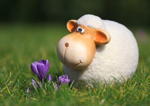 in spring