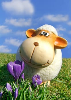 Lamb