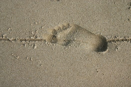 Footprint in the sand