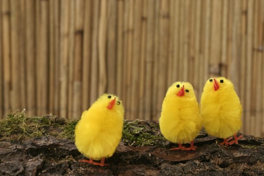 Decorative chicks