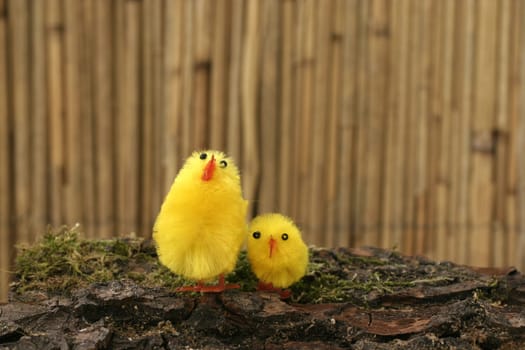 Decorative chicks