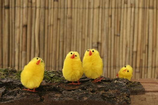 Decorative chicks