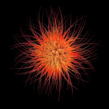 Bacterium