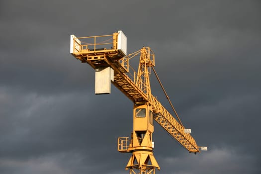 Crane