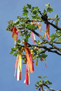 Tree decorated with colorful ribbons