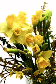 Spring fever