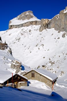 Alpine winter
