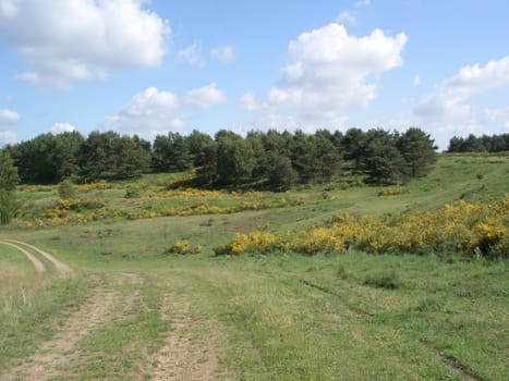 Nature reserve