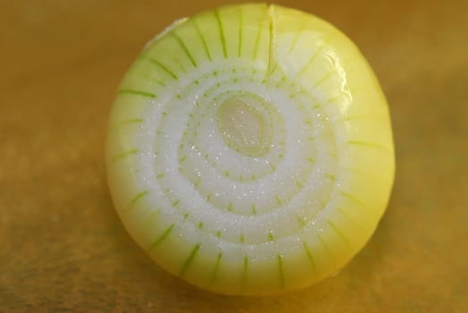 Onion