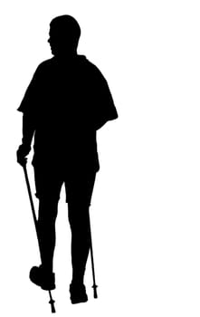 Nordic Walker