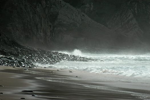 Surf
