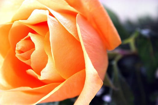 Today is Women's Day