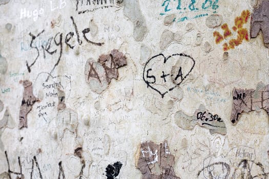 Messages on a tree