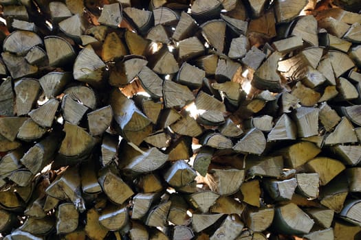 Firewood