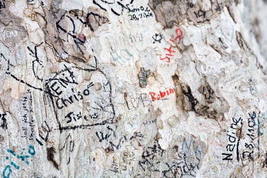 Tree and graffitti