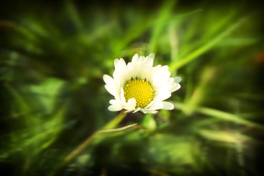 here comes the sun