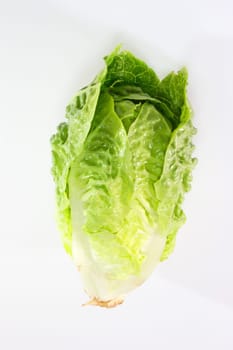 Lettuce heart