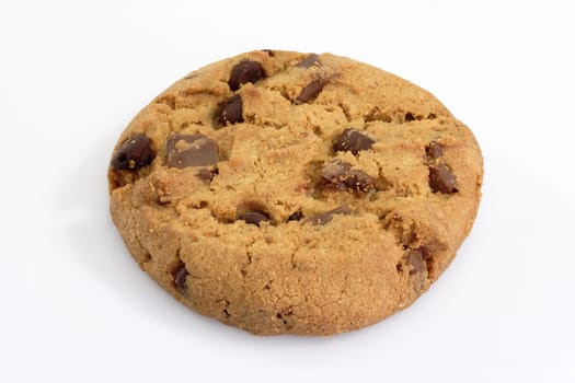Biscuit