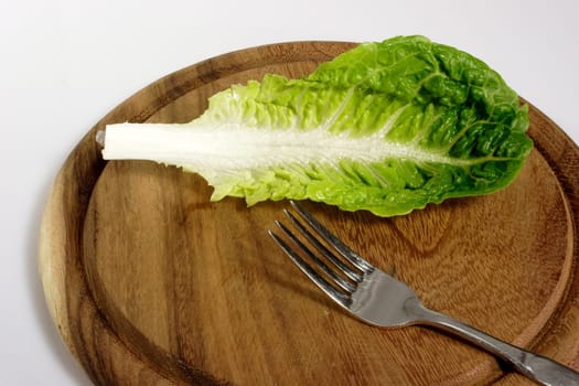 Diet
