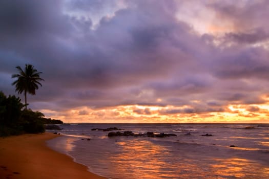 Le Soir au Paradise