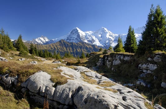 From the Lobhornhütte you probably have the most beautiful view of the Eiger,Mönch and,depending on your point of view,also of the Jungfrau (far right behind the fir trees).
