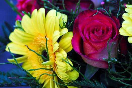 Spring greetings