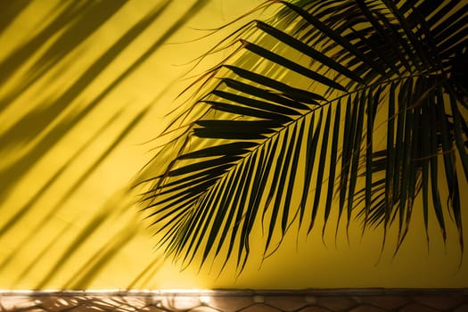 shadow of a palm leafs on a yellow wall. Neural network generated in May 2023. Not based on any actual scene or pattern.