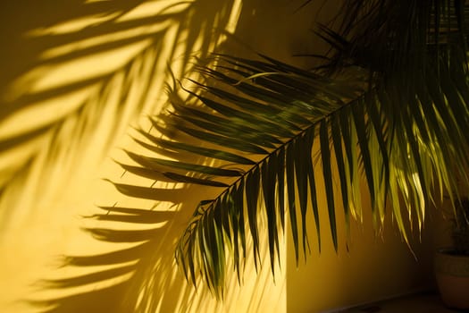 shadow of a palm leafs on a yellow wall. Neural network generated in May 2023. Not based on any actual scene or pattern.