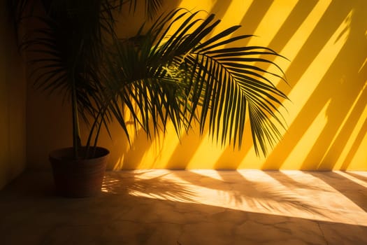 shadow of a palm leafs on a yellow wall. Neural network generated in May 2023. Not based on any actual scene or pattern.