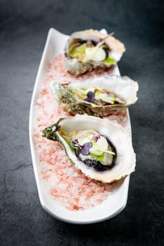 fresh oysters on red sea salt