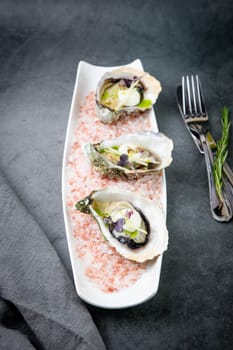 fresh oysters on red sea salt