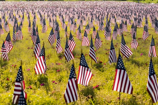 Memorial Day tribute. Many small American flags on a green lawn. Neural network generated in May 2023. Not based on any actual scene or pattern.