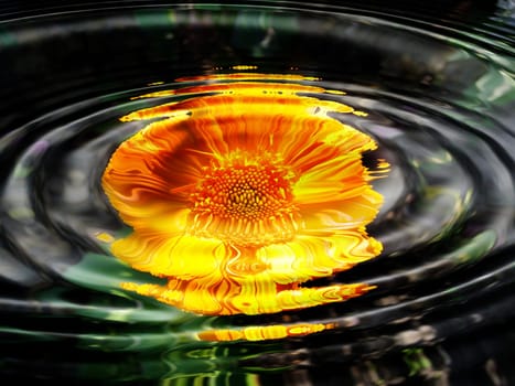 This picture is a montage of self-created water/waves with Photoshop (i.e. never been a photo,but computer graphics) incl. photo. It's not interpolation!