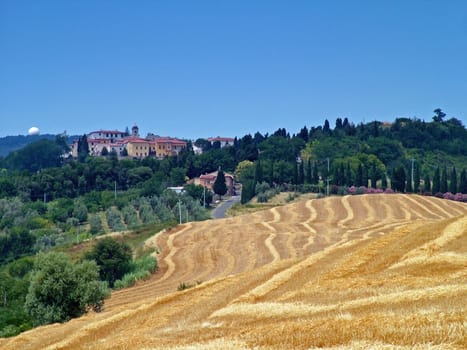 Tuscan Countryside 2