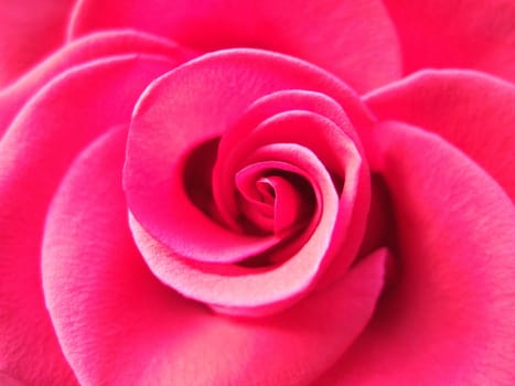 Sensuality