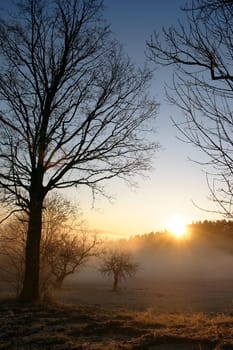 Good Morning