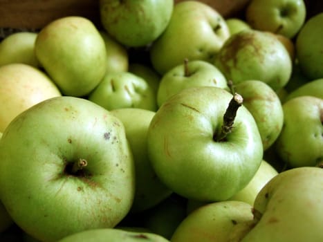 Organic apples