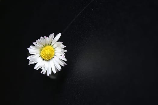 lonely